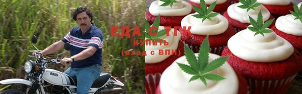 ECSTASY Алзамай