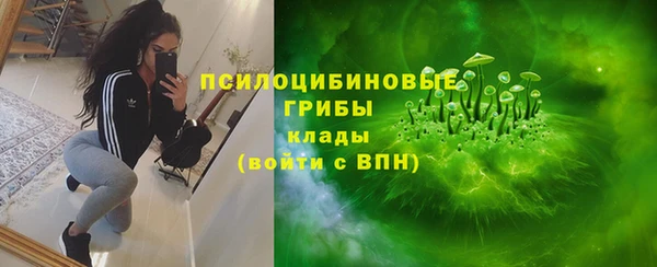 ECSTASY Алзамай