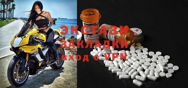 ECSTASY Алзамай