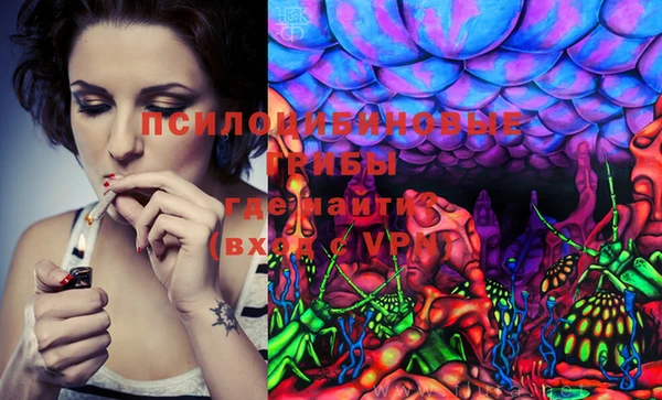ECSTASY Алзамай