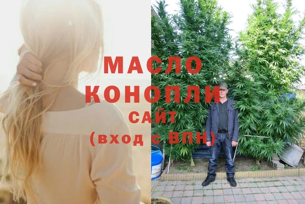 ECSTASY Алзамай