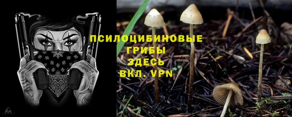 ECSTASY Алзамай