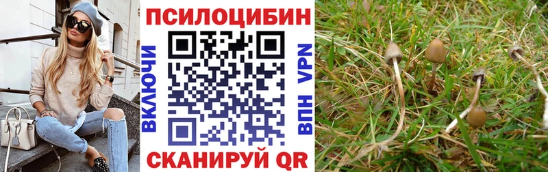 Псилоцибиновые грибы Psilocybine cubensis  продажа наркотиков  kraken рабочий сайт  Собинка 